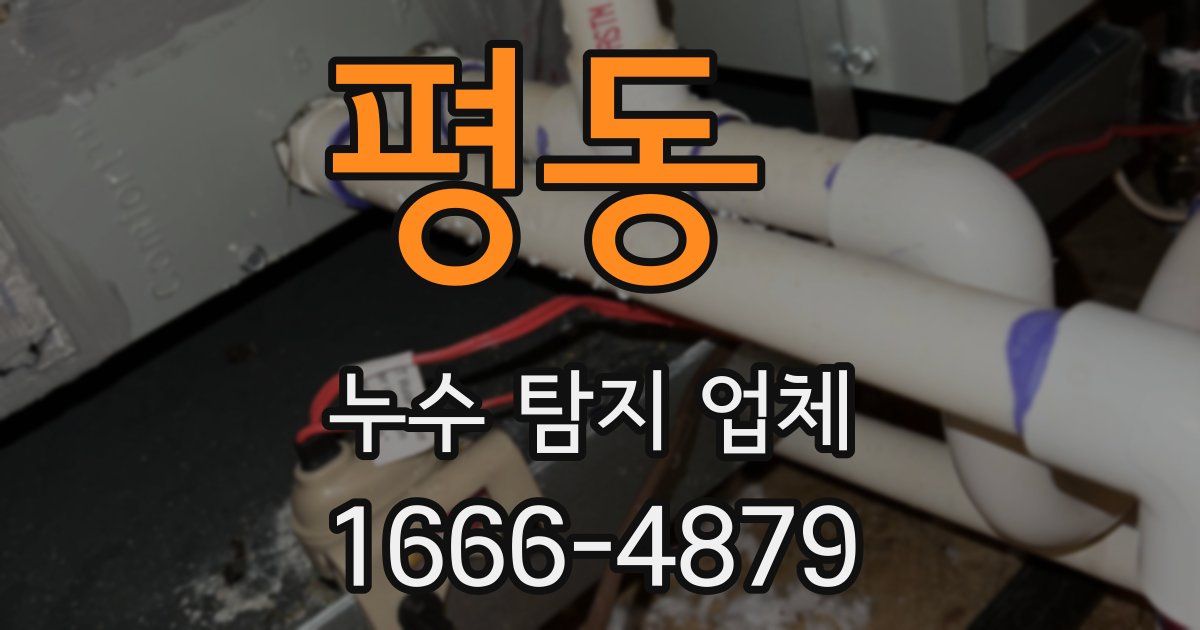 평동 누수 탐지 업체