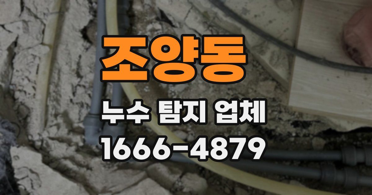 조양동 누수 탐지 업체