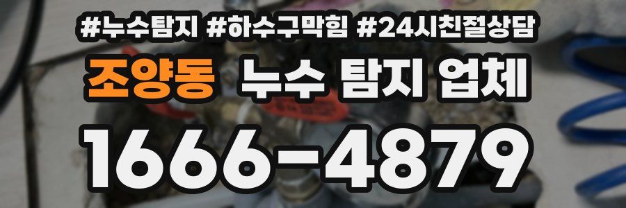 조양동 누수 탐지 업체