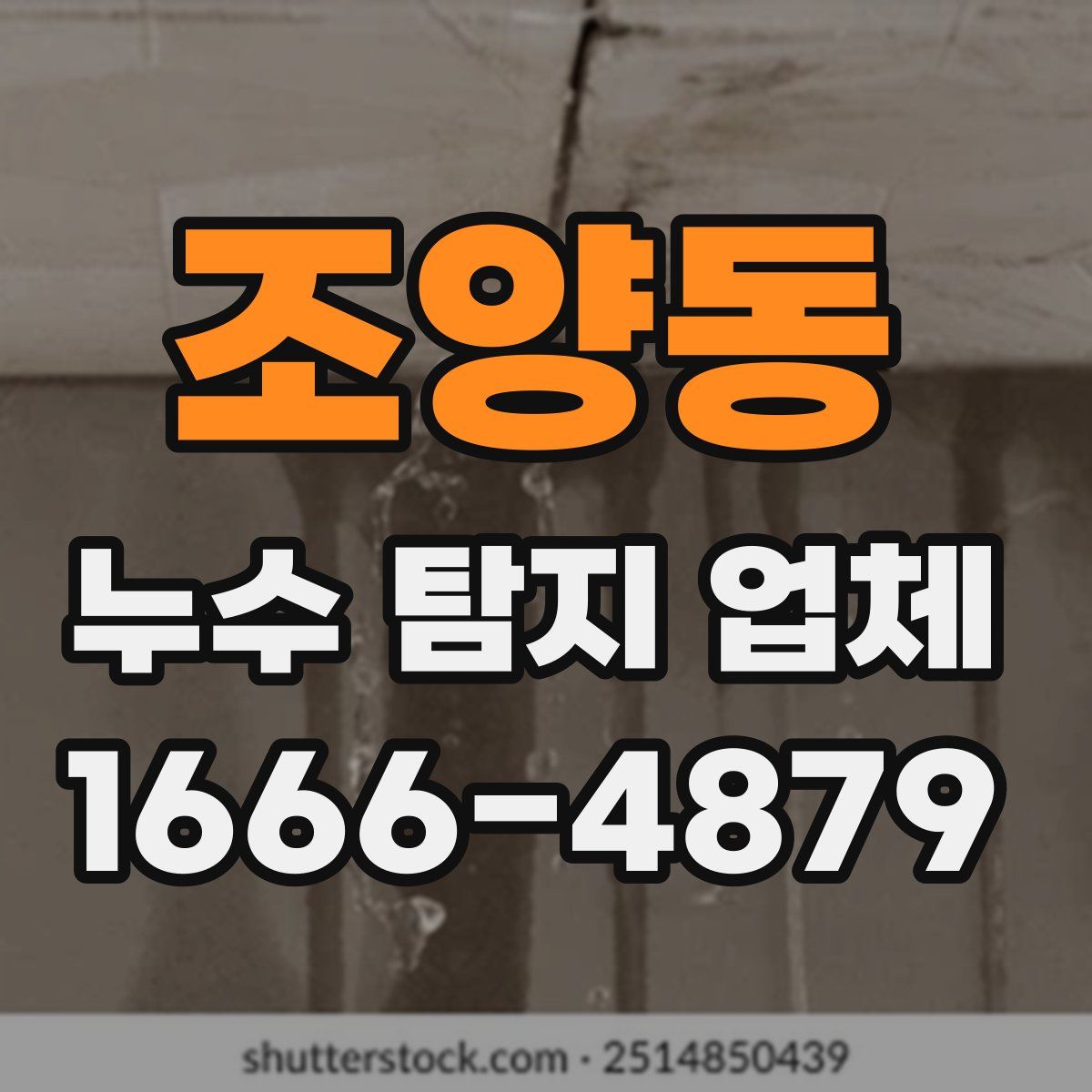 조양동 누수 탐지 업체