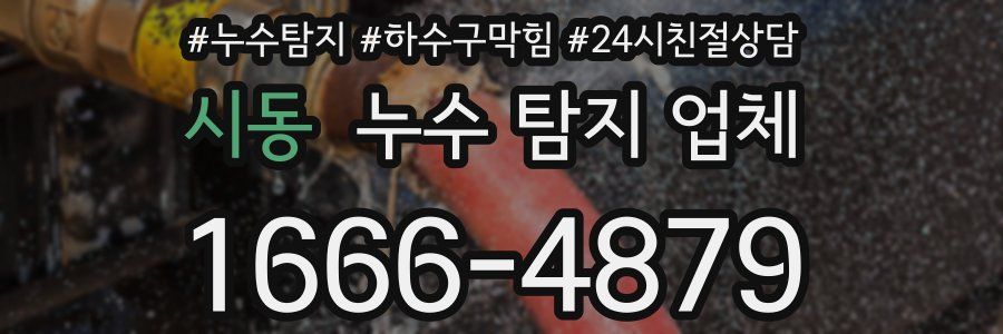 시동 누수 탐지 업체