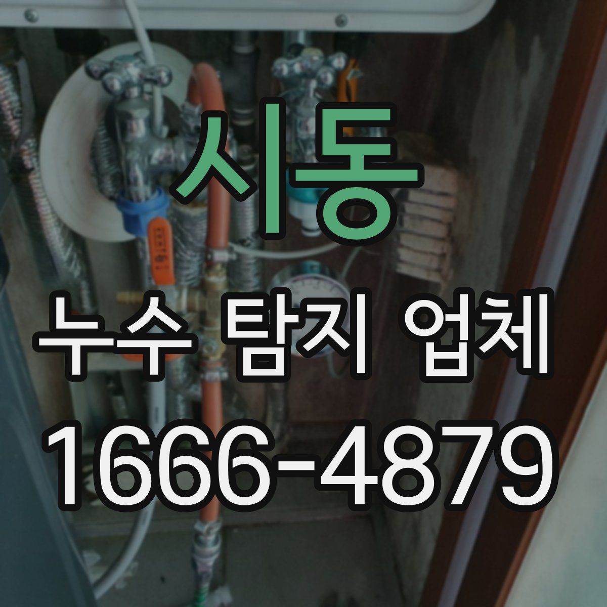 시동 누수 탐지 업체
