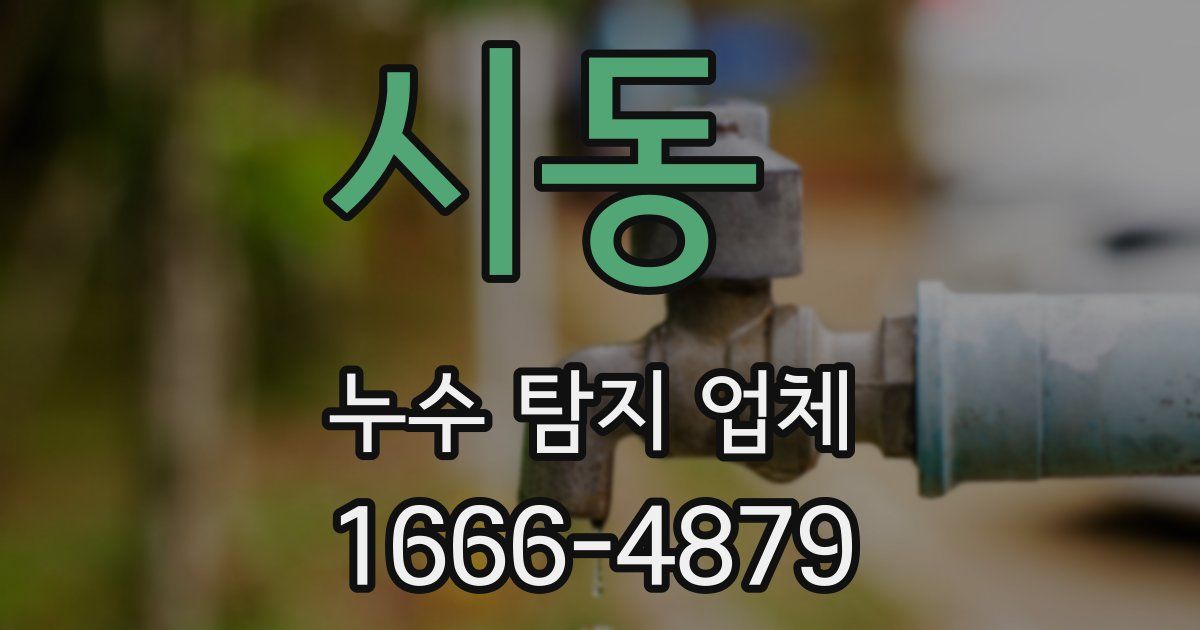 시동 누수 탐지 업체