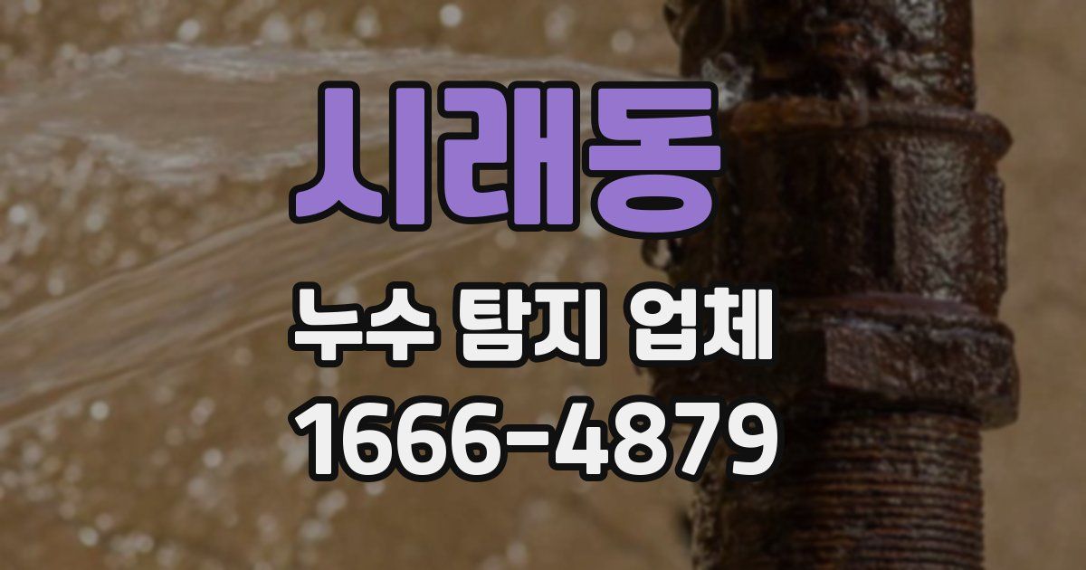 시래동 누수 탐지 업체
