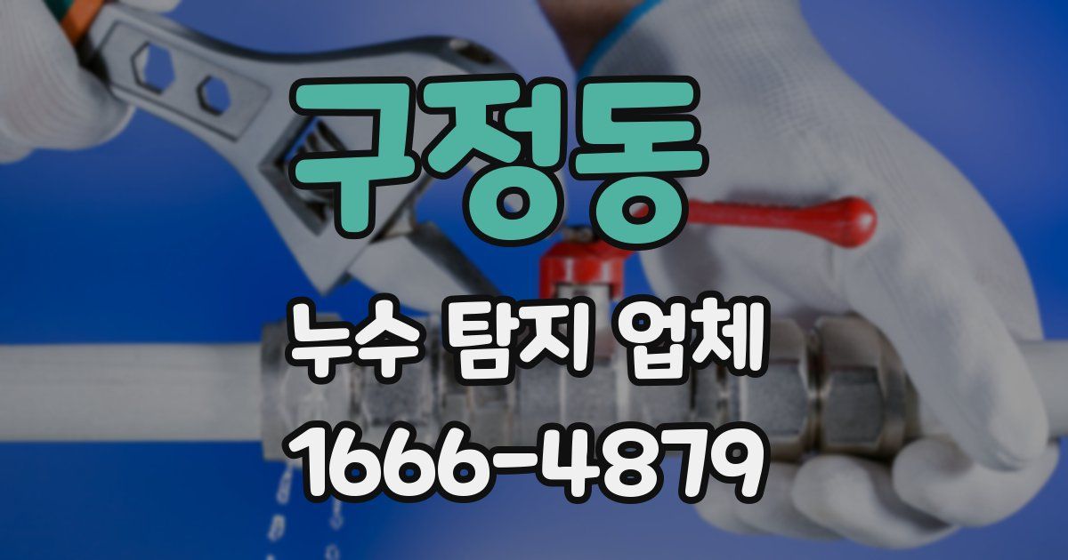 구정동 누수 탐지 업체