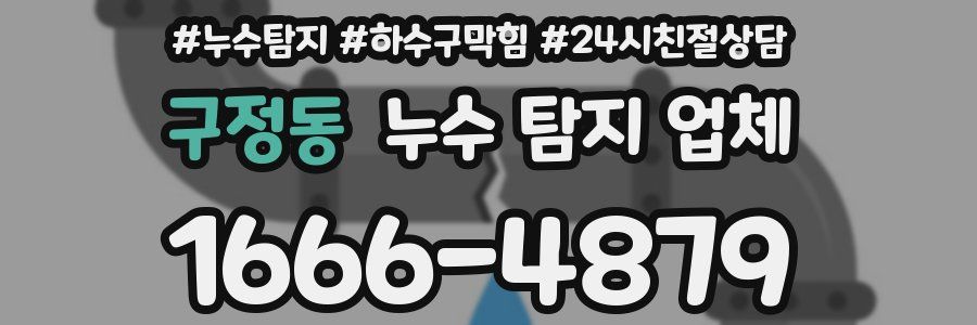 구정동 누수 탐지 업체