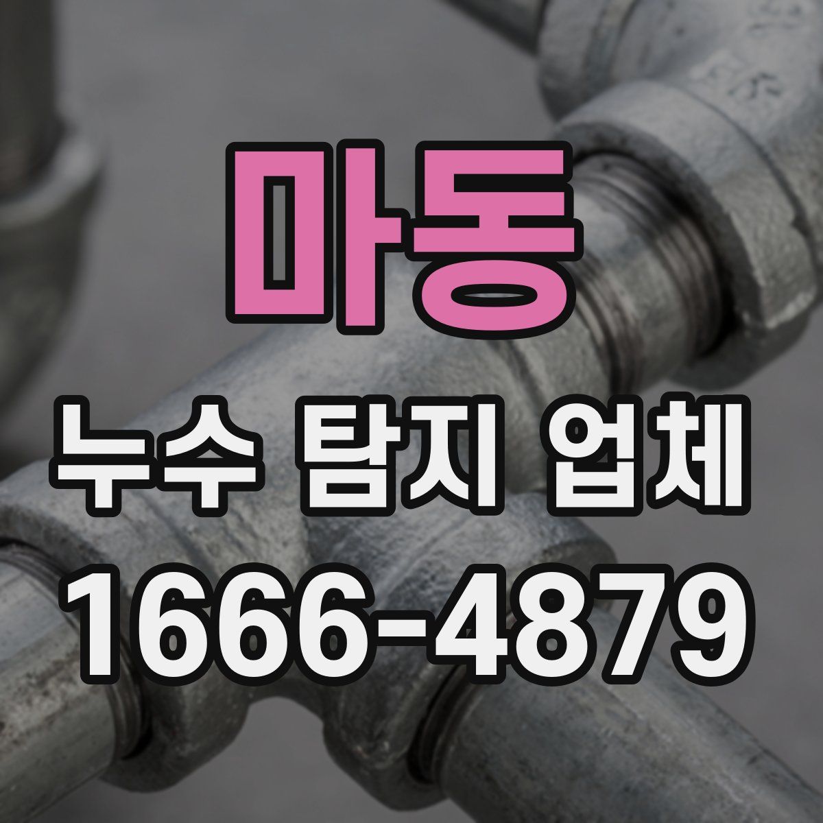 마동 누수 탐지 업체