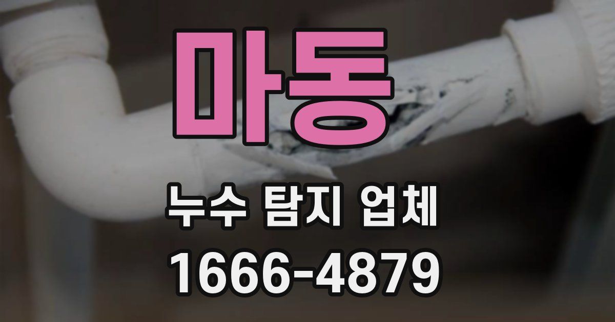 마동 누수 탐지 업체