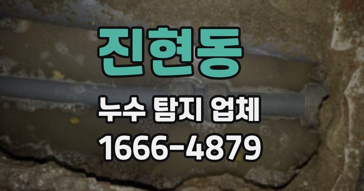 진현동 누수 탐지 업체