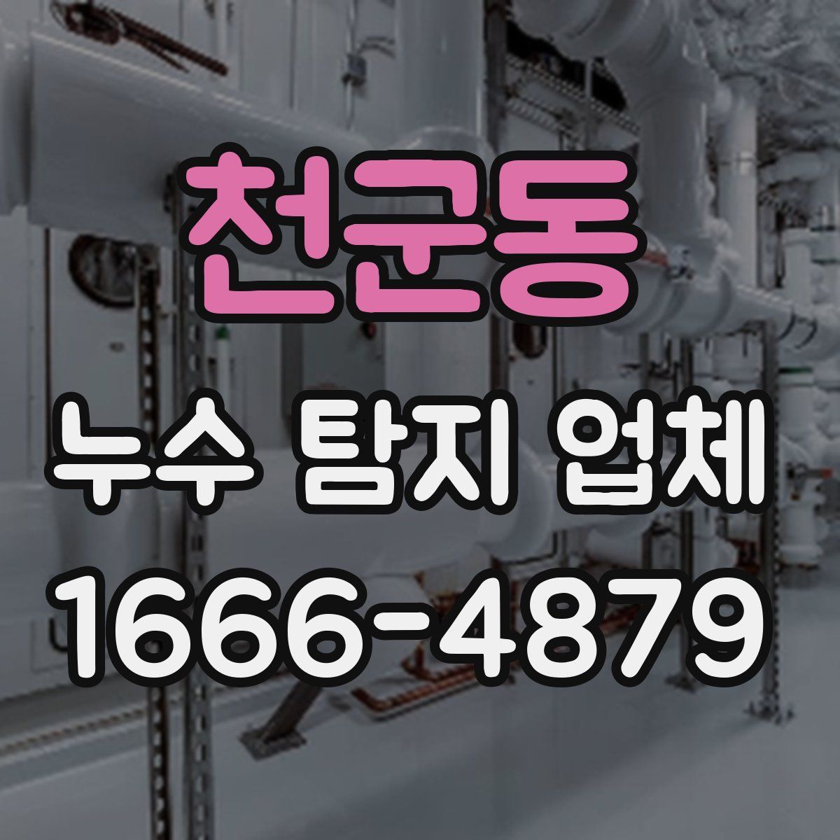 천군동 누수 탐지 업체