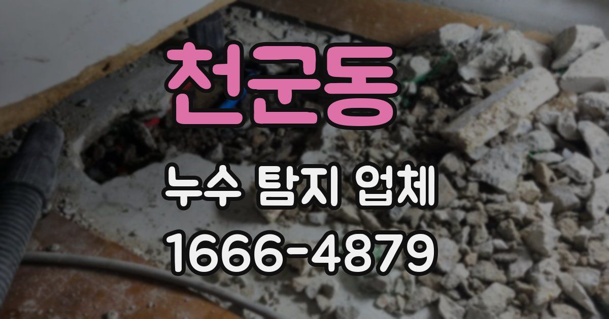 천군동 누수 탐지 업체