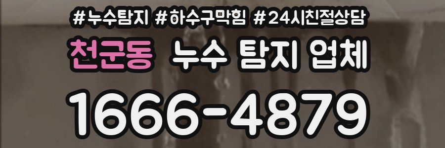 천군동 누수 탐지 업체