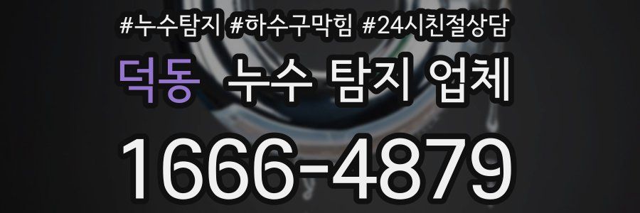 덕동 누수 탐지 업체