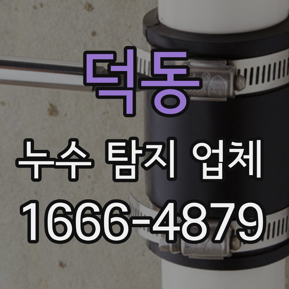 덕동 누수 탐지 업체