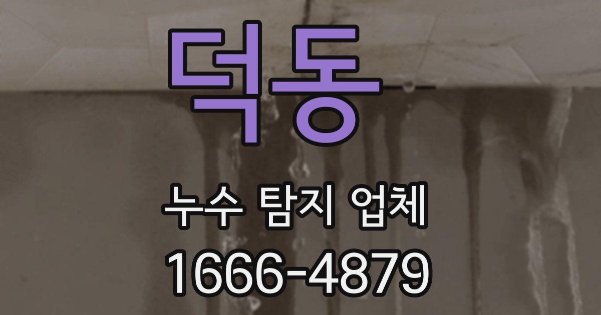 덕동 누수 탐지 업체
