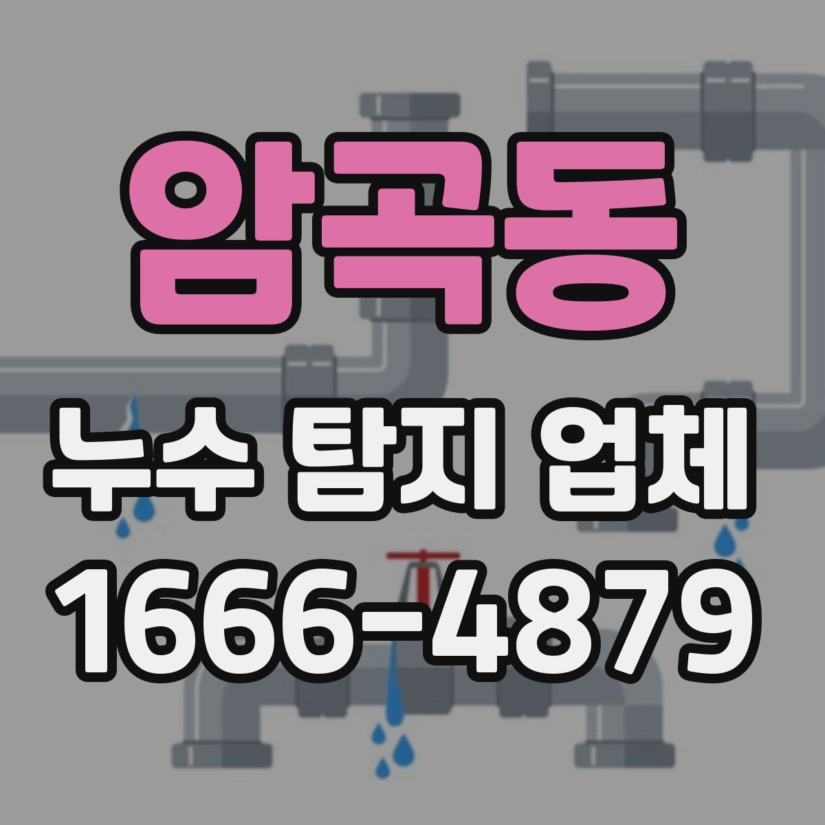 암곡동 누수 탐지 업체
