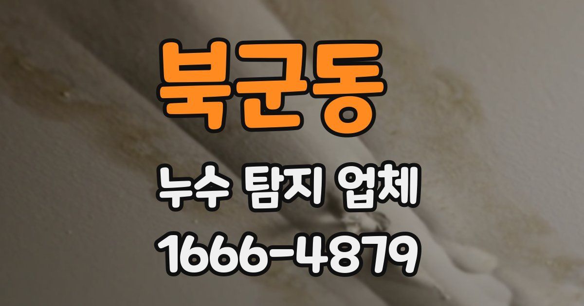북군동 누수 탐지 업체