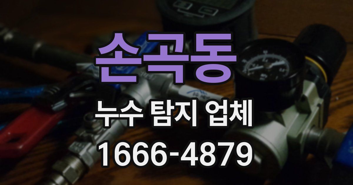 손곡동 누수 탐지 업체