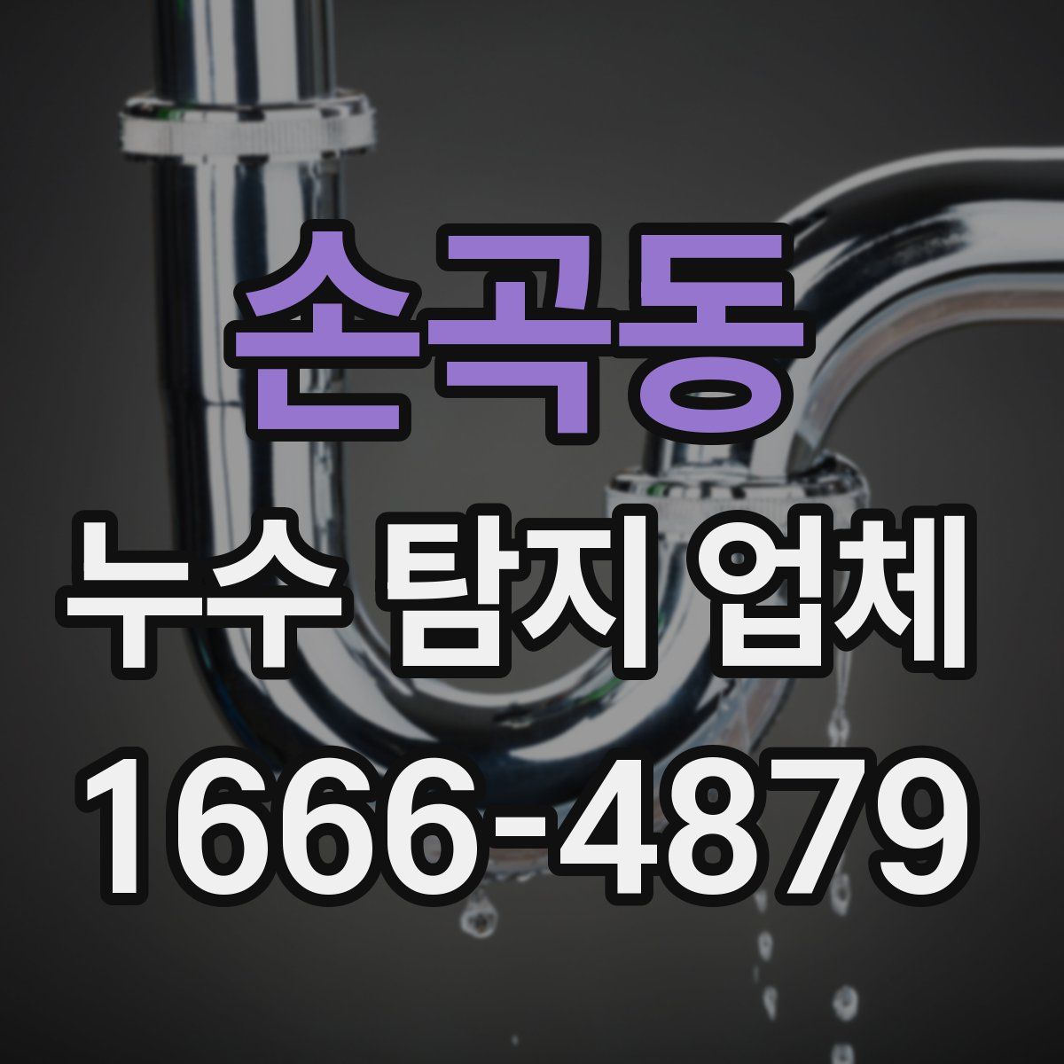 손곡동 누수 탐지 업체
