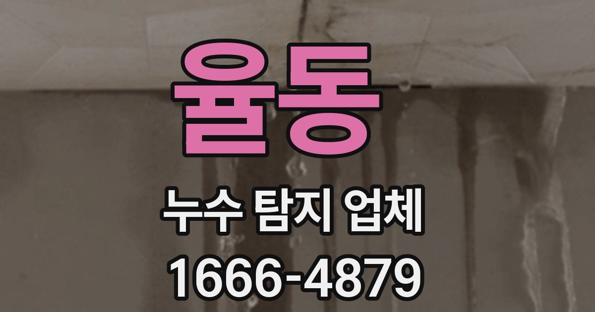 율동 누수 탐지 업체