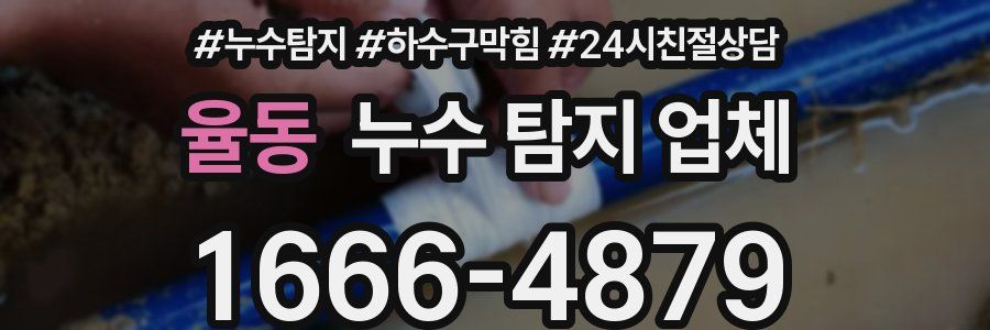 율동 누수 탐지 업체