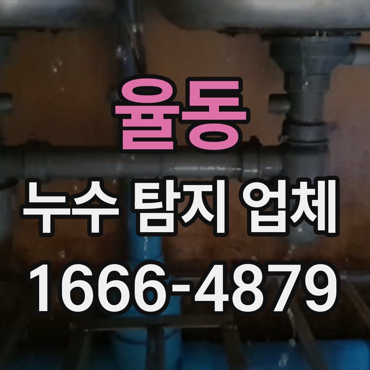 율동 누수 탐지 업체