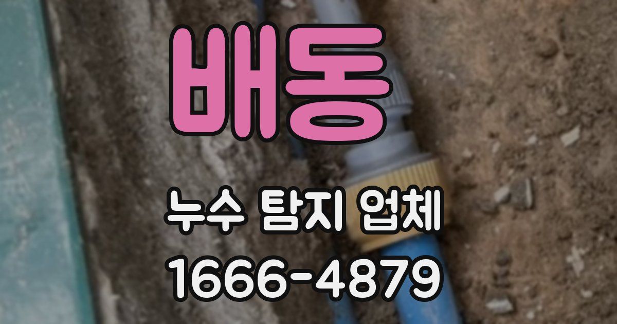 배동 누수 탐지 업체