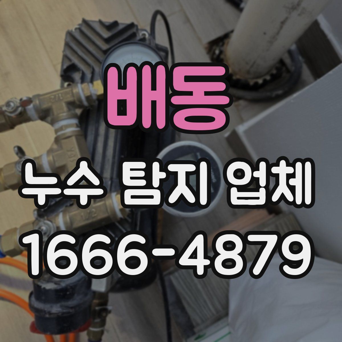 배동 누수 탐지 업체