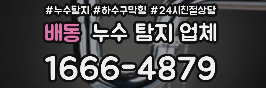 배동 누수 탐지 업체
