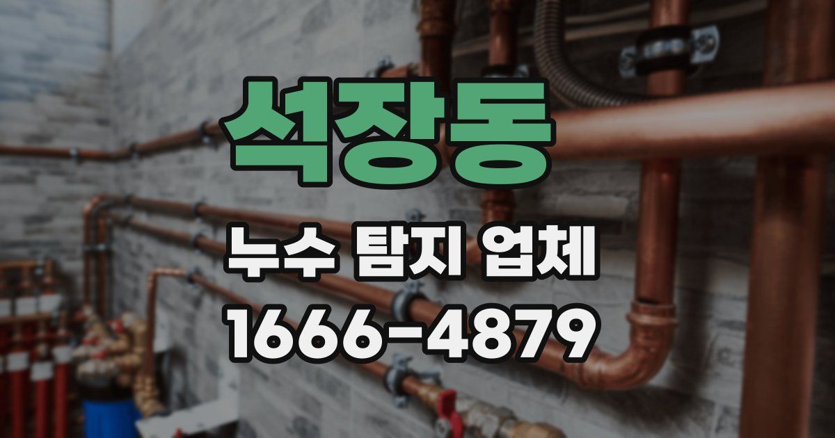 석장동 누수 탐지 업체