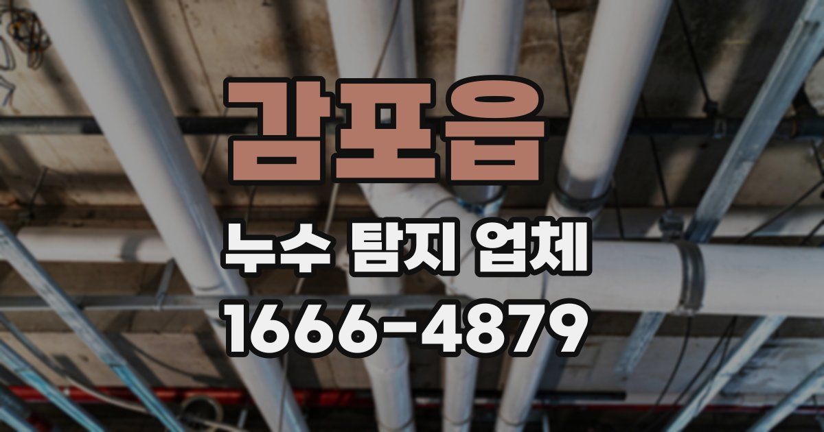 감포읍 누수 탐지 업체