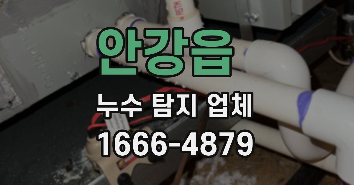 안강읍 누수 탐지 업체