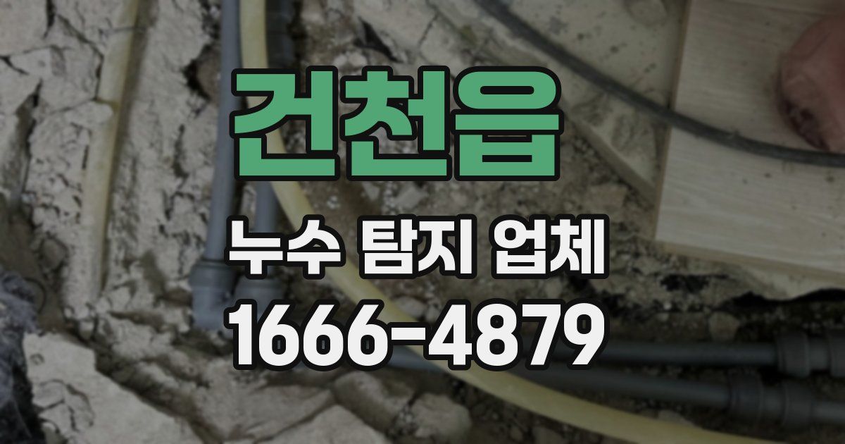 건천읍 누수 탐지 업체