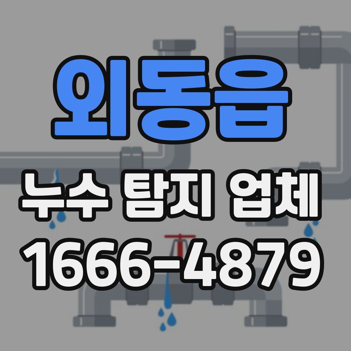 외동읍 누수 탐지 업체