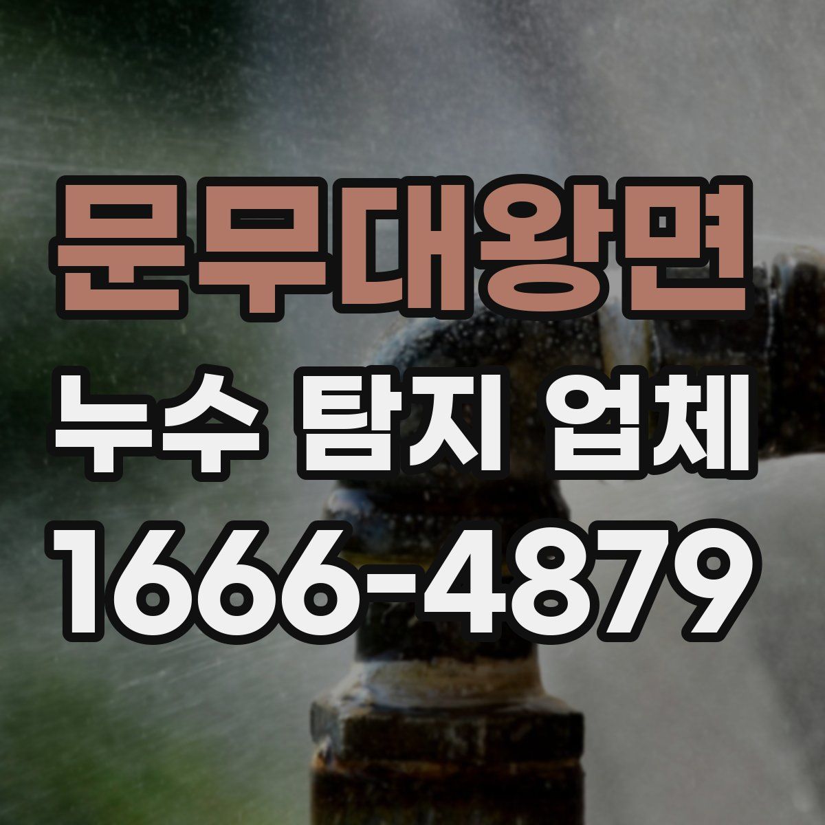 문무대왕면 누수 탐지 업체
