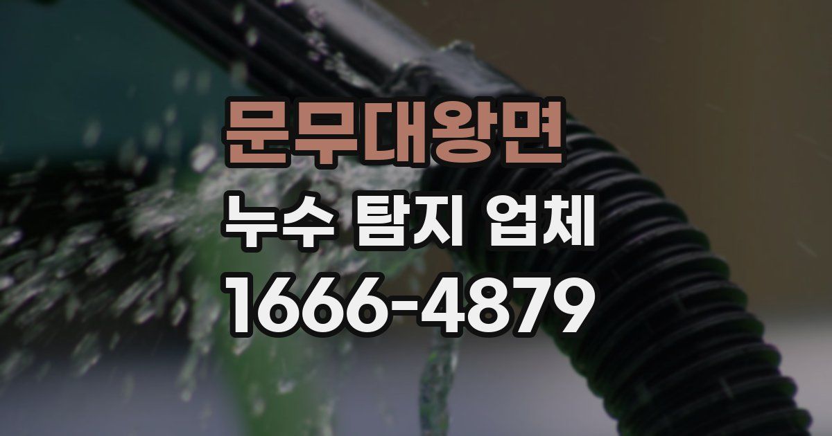 문무대왕면 누수 탐지 업체