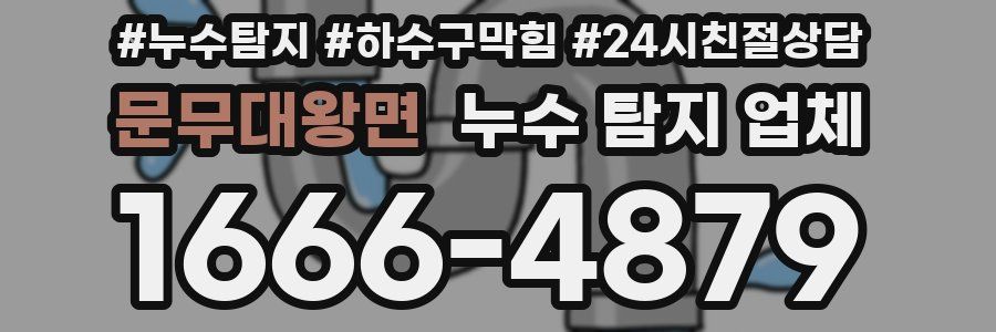 문무대왕면 누수 탐지 업체