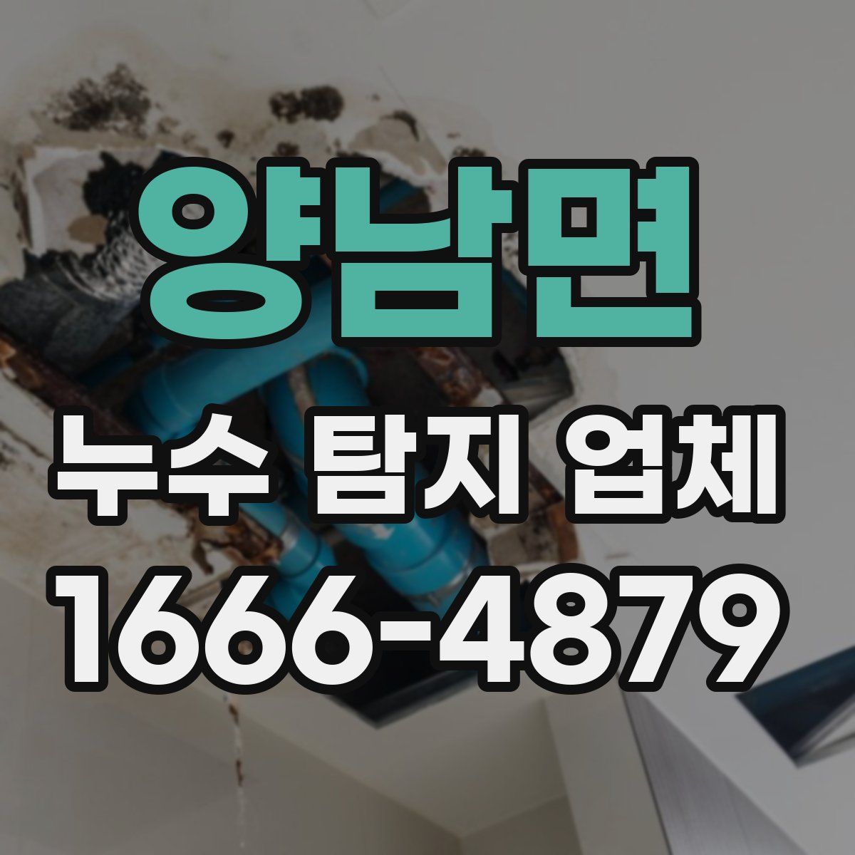 양남면 누수 탐지 업체