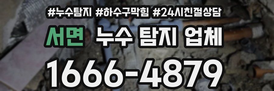 서면 누수 탐지 업체