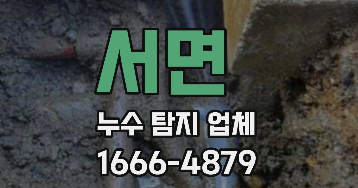 서면 누수 탐지 업체
