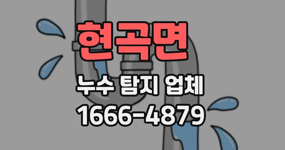 현곡면 누수 탐지 업체