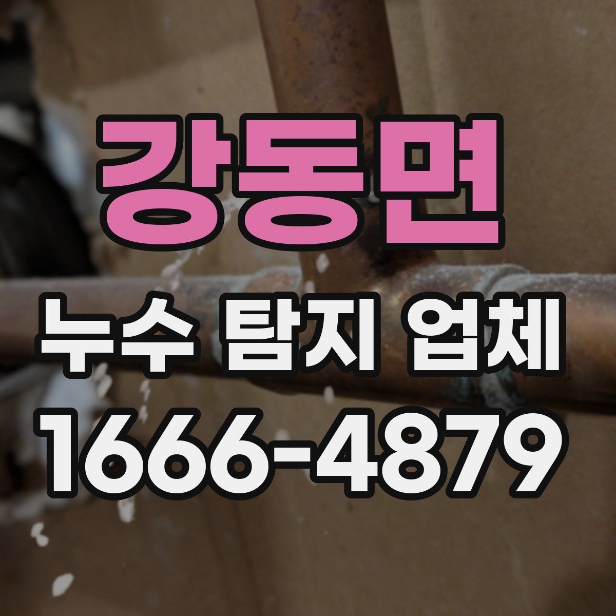 강동면 누수 탐지 업체