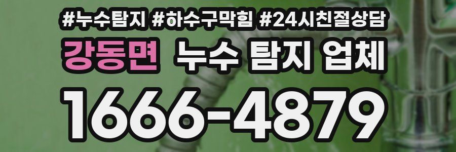 강동면 누수 탐지 업체