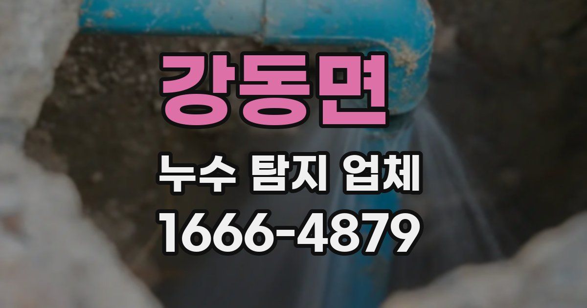 강동면 누수 탐지 업체