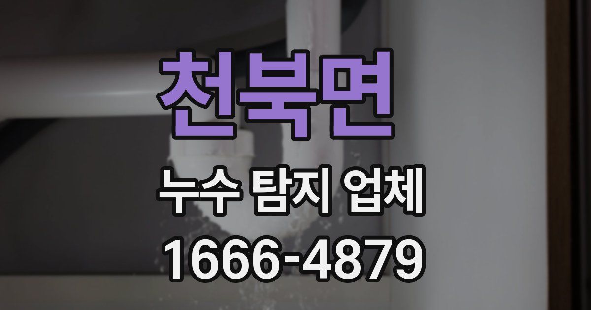 천북면 누수 탐지 업체