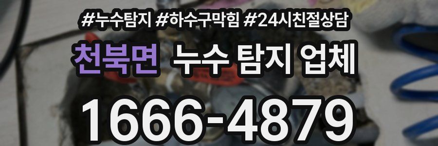 천북면 누수 탐지 업체