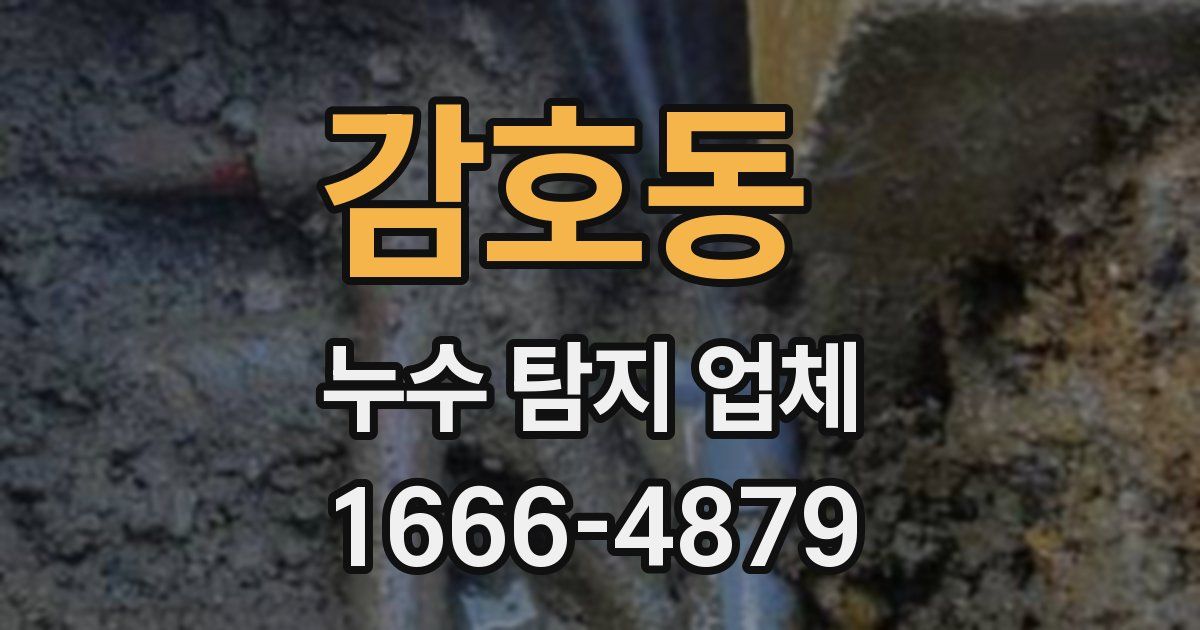 감호동 누수 탐지 업체