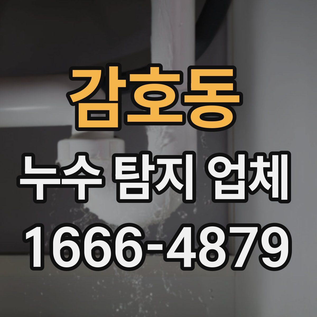 감호동 누수 탐지 업체