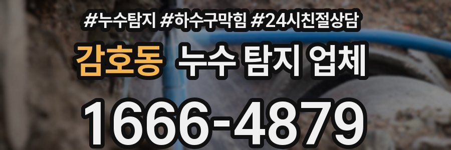 감호동 누수 탐지 업체