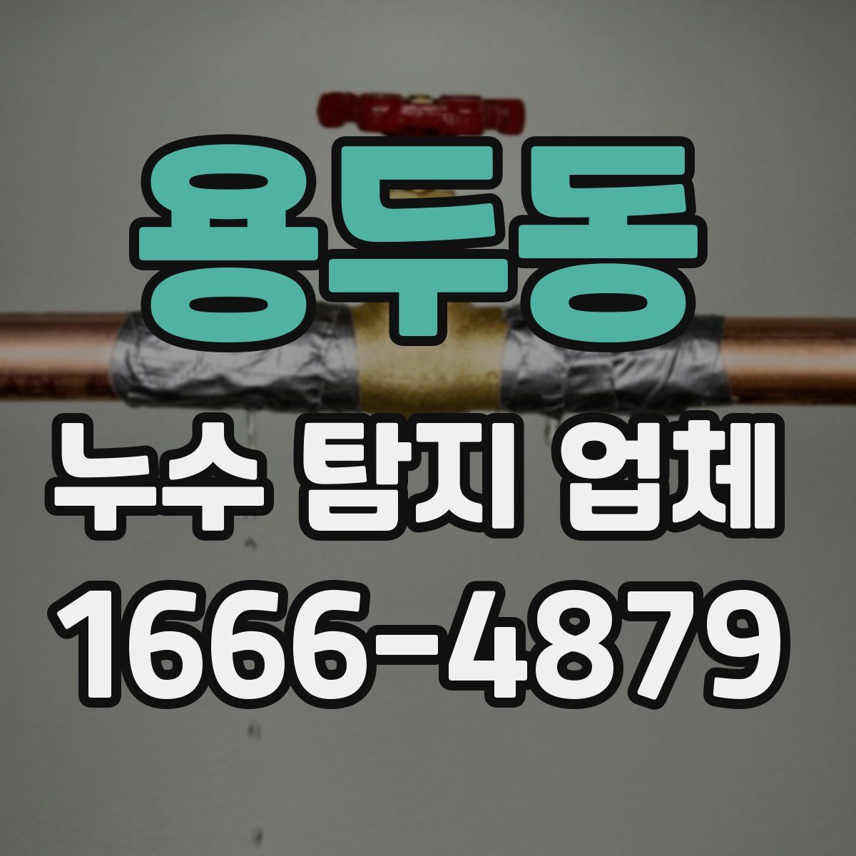 용두동 누수 탐지 업체